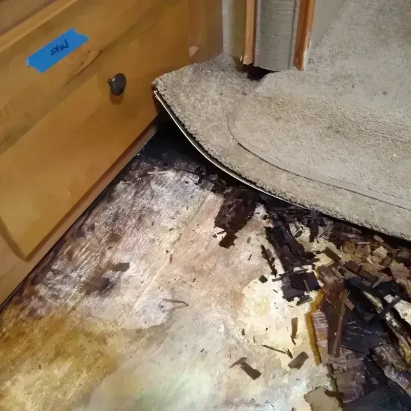 Wood Floor Water Damage in Archer County, TX